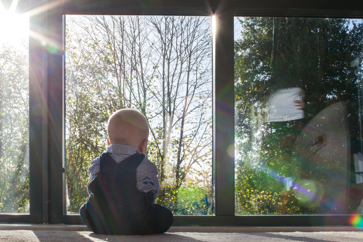 Little boy by sunny window