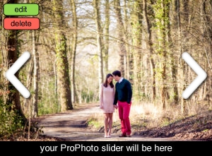 Couple holding handing in the woods in Gloucestershire